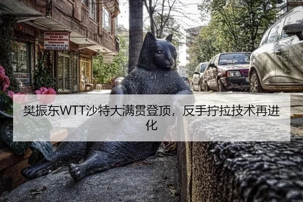 樊振东WTT沙特大满贯登顶，反手拧拉技术再进化